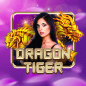 Dragon Tiger live dealer table at colorgame2